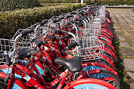公共自行车,自行车租赁,杭州