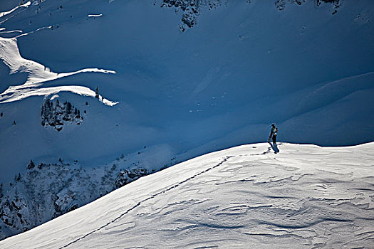 自由滑行者,滑雪板玩家,走,斜坡,雪景,北方,提洛尔,奥地利,欧洲