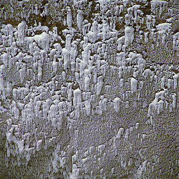 特写,冰柱,岩石上,碧玉国家公园,艾伯塔省,加拿大