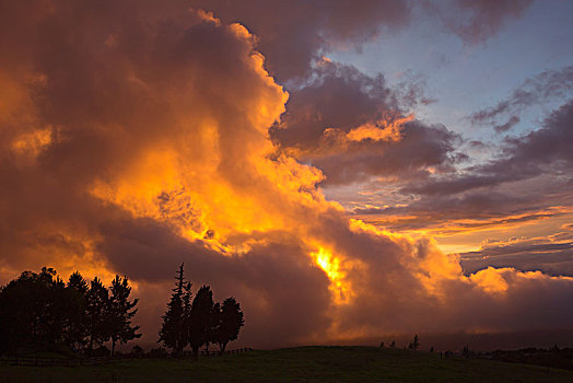 云,发光,橙色,日落,毛伊岛,夏威夷,美国