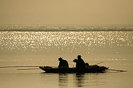 渔民,抓住,鱼,河,库尔纳市,孟加拉,十一月,2007年