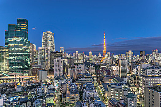 日本,东京,天际线,黎明,大幅,尺寸