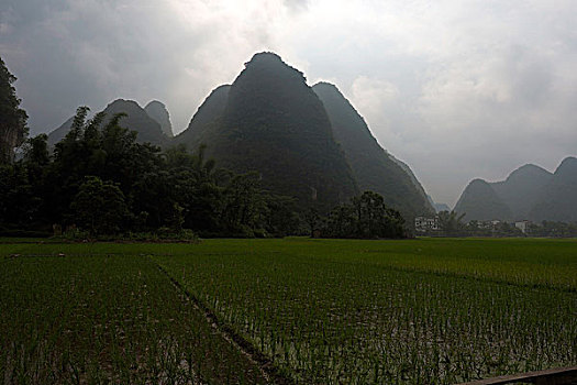 遇龙河边的田园风景