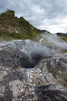 新西兰罗托阿鲁地热保护区