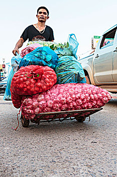 一个,男人,运输,大,袋,蒜,万象,老挝