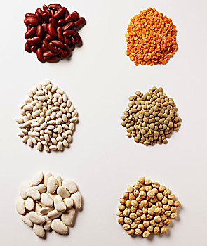 选择,干燥,豆