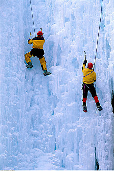 后视图,冰,攀登者,不列颠哥伦比亚省,加拿大