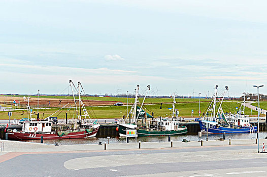 虾,船,渔港,北海