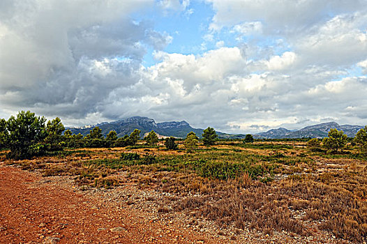 风景,乡村道路,西班牙