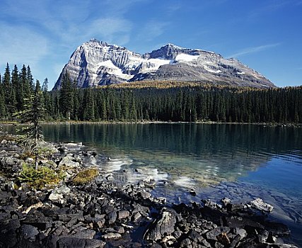 湖,山峦,背景,欧哈拉湖,攀升,幽鹤国家公园,不列颠哥伦比亚省,加拿大