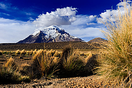 安迪斯山脉,山,玻利维亚,南美