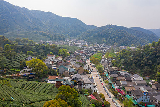 杭州西湖龙井茶产地梅家坞