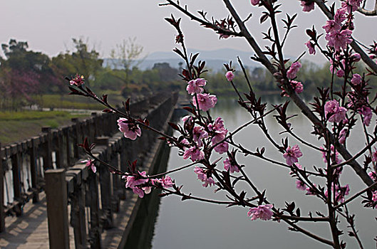 苏州太湖湿地公园风光