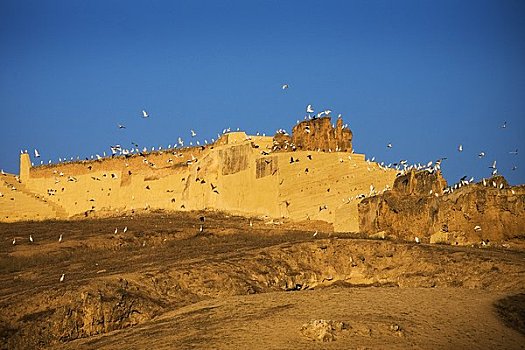 墙壁,城市,摩洛哥