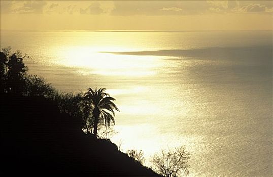 夜光,帕尔玛,加纳利群岛,西班牙