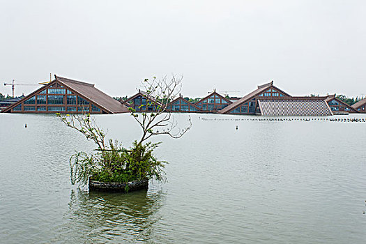 上海松江广富林遗址公园风光