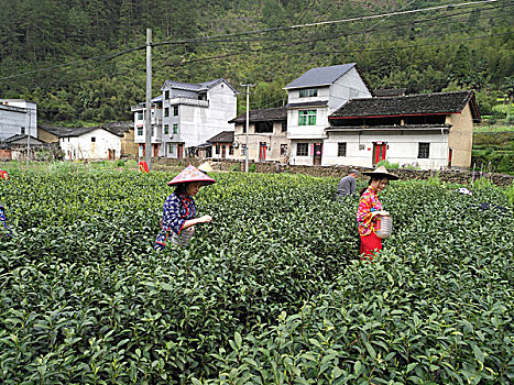 山区风光