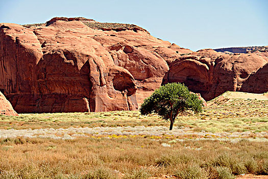纪念碑谷,纳瓦霍人部落公园,亚利桑那,美国