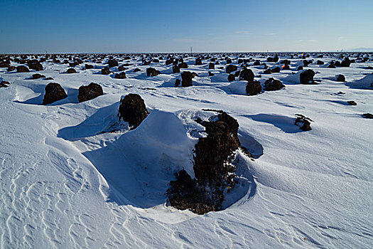 三江湿地塔头雪景36