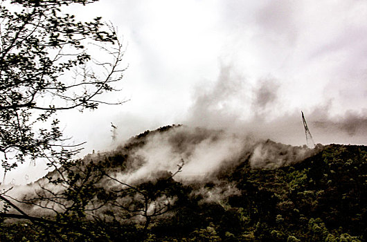 山中雲霧