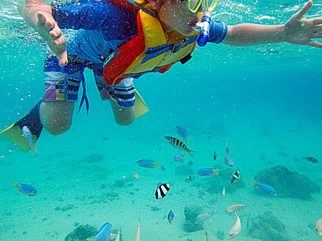孩子,水下呼吸管,热带鱼,岛屿,玛玛努卡群岛,斐济,南太平洋