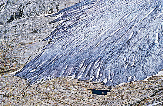 脚趾,冰河,冰川国家公园,不列颠哥伦比亚省,加拿大
