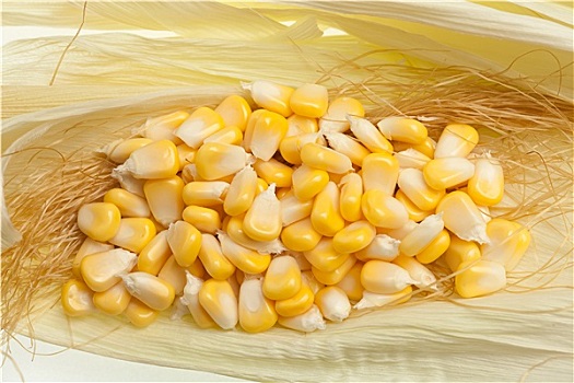 新鲜,玉米作物