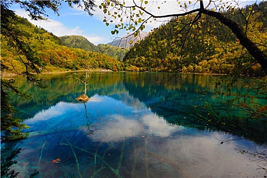 树林,湖,风景,中国