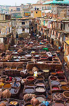 摩洛哥,老,制革厂,1000年,俯视,桶,彩色,染料