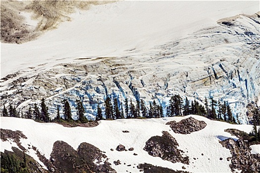 舒克森山,冰河,特写,常绿植物,艺术家,华盛顿