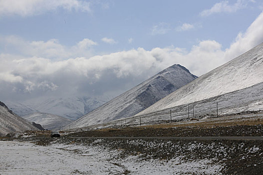 西藏雪山下的公路
