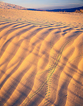 死亡谷国家公园,加利福尼亚,美国,影子,波纹,沙丘,日出