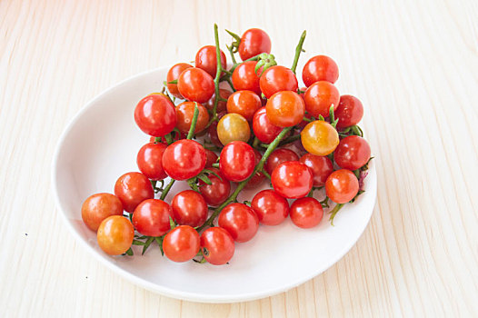 野生西红柿