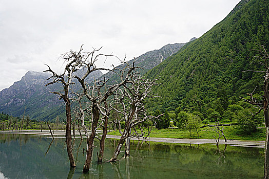 四川阿坝州四姑娘山