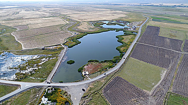 高家湖湿地生态公园