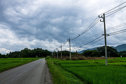 泰国,农业