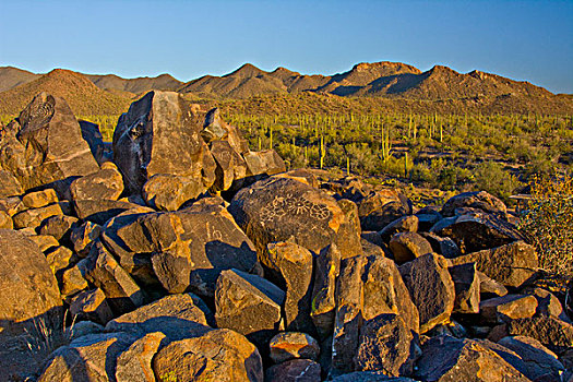 岩刻,信号,山,萨瓜罗国家公园,亚利桑那,美国
