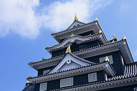 日本,冈山,城堡,特写