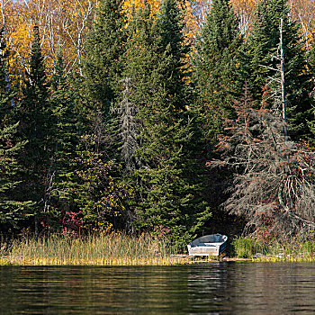 划桨船,湖岸,湖,木头,安大略省,加拿大