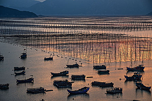 霞浦