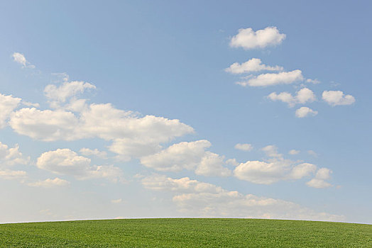 绿色,地点,蓝天,云,图林根州,德国,欧洲