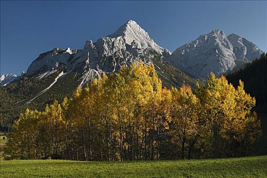 山,秋天,山脉,提洛尔,奥地利,欧洲