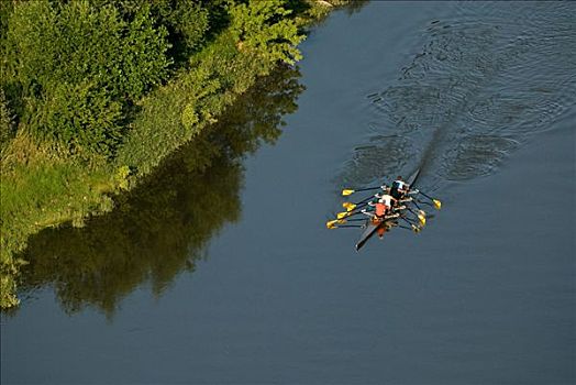 划桨船,内卡河,曼海姆,巴登符腾堡,德国,欧洲