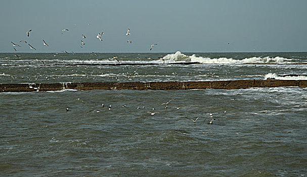 海滨风景