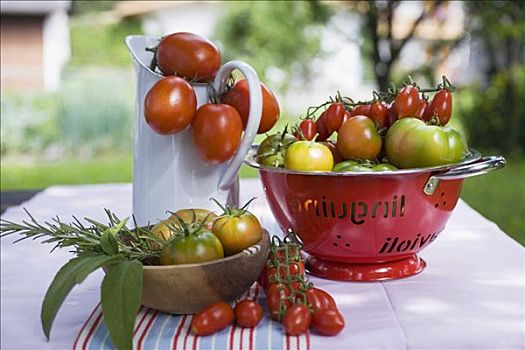 多样,西红柿,桌上,户外