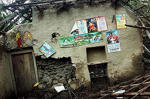人,家养动物,西孟加拉,印度,气旋,五月,2009年,政府,国家,灾难,家,破坏,区域