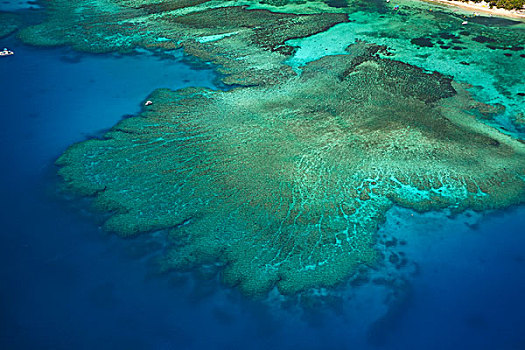 珊瑚礁,旁侧,玛玛努卡群岛,斐济,南太平洋,俯视