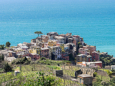 五渔村,利古里亚,意大利,欧洲