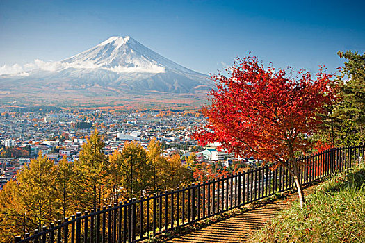 富士山,城市,公园,本州,日本