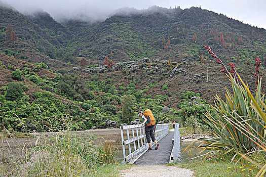 女人,步行桥,新西兰